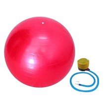 짐볼 55cm 안티 버스트 요가볼 & 펌프 체조 운동 짐 코어 강도 실내 트레이닝 장비, [03] Pink, 03 Pink
