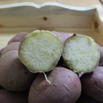 영쇼핑 타박고구마 팍팍한 밤고구마, 1box, 밤고구마 손가락 세개 굵기 크기 5kg