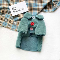 반려동물 강아지 고양이 용품 Ins 귀여운 모피 개 옷 개 코트 겨울 벨벳 양털 개 자켓 캔디 컬러 버튼 중간 작은 개 Bichon 고양이 의류, 01 XS, 03 Lake Blue