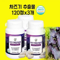 식약청인증 차즈기 추출물 농축액 눈엔 차즈기 루테올린 영양제 빌베리 눈 근육 수정체 모양체 자소엽 차즈기 분말 가루 영양제 알약 캡슐 건강기능식품 추천 효능, 120정, 3박스
