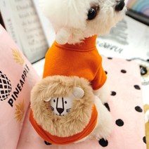 당근 사자 후드티 강아지 의류 모직 자켓 재킷 코트 패딩, C05-ML(XL)가슴 50직사각형 40적합