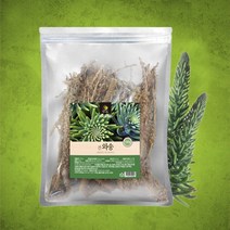 국내산 와송 건재 100g, 1개