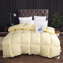 구스 오리털 거위털 호텔 차렵 이불 사계절 봄 여름 가을 겨울 두꺼운 퀸 킹 싱글, I