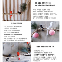 전통 금줄 출산 축하 선물 만들기 새끼줄 출산금줄 축하해주세요 액운 아들딸 임신선물 출산축하선물 태교 출산선물 백일촬영 임산부 신생아 아기 준비물 출산용품 남아 여아 육아 남자 제품, 전통금줄-남자,아들DIY
