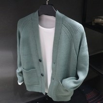남자 빅사이즈 브이넥 겨울 가을 니트 가디건 소라색 파란색 베이지 카키 블랙 가디건 단추 주머니 기본 가디건