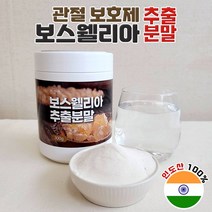 건강앤 보스웰리아 100% 고농축영양소 추출공법 인도산 항염증작용 관절연골 보호 체내염증 억제 손목 어깨 관절 추천 300g, 100% 추출분말 300g 1통 (3개월분)