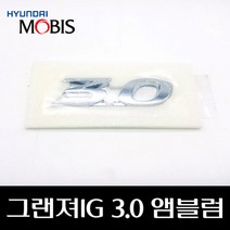 그랜져IG 3.0 엠블럼 86331G8010