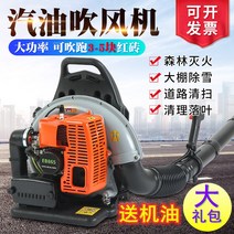 엔진브로워 제설기 눈 청소기 송풍기 가솔린 헤어 드라이어 배낭 바람 소화기 온실 고출력 낙엽 녹색 부는 야채, [01] 2행정 저가 프로모션 - EB865 - 6.0