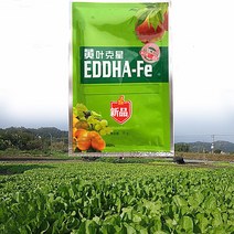 원예 식물 비료 1 봉지 유기농 킬레이트 철 노란색 잎 녹색 고농축 수용성