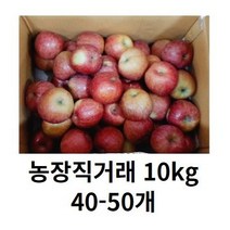 부사사과 10kg 초특가 대용량 40-50과 사과 쥬스용 사과 10kg, 10kg 부사사과