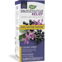 네이쳐스웨이 삼부커스 릴리프 코프 시럽, 1개, 120ml