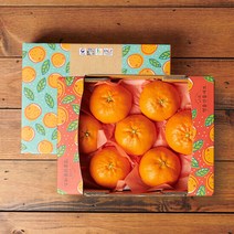 제주 레드향 2021 서귀포 감귤 선물세트 1.6kg 2.6kg 4.5kg 고급 선물포장, 제주 레드향 1.6kg 6-9과 선물세트