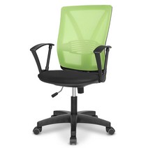 체어포커스 힐링체어 블랙바디 베이직 메쉬 책상의자 T100, 그린