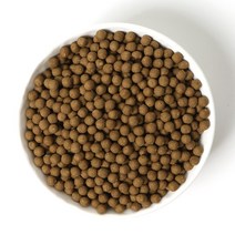 케이웰니스 양배추환 동결건조 양배추 분말 사용 전통 환, 1봉, 400g