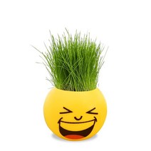 실내정원 홈잔디 머리 인형 DIY 식물 실내 정원 발코니 화병 꽃 화분, 04 Laugh Grass Head