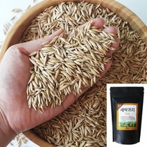 [천삼백케이] [농업회사법인 세경팜 주식회사] 세경팜 새싹귀리싹 1kg 새싹채소씨앗 키우기, 새싹귀리1kg