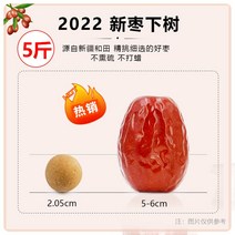 건대추 말린대추 중국 마른대추 간식 건조대추 건강, 고품질 [5-6cm 내외] 500g*5봉지, 5개