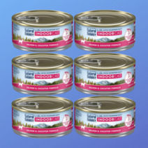 [빅딜] 내추럴발란스 캣캔 LID 캔 인도어 연어&병아리콩 156g X 6입, 내추럴발란스 캣캔 인도어 연어병아리콩 156g x6입