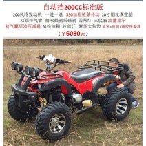 ATV 4륜 오프로드 오토바이 구동 범용 변속기 가솔린 전기, 자동변속기200표준버전
