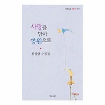 사랑을담아영원으로 013 시와소금산문선, 상품명