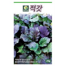 수세미 10립 수세미씨앗 수세미씨 스무드루파 시누아 채소씨 채소씨앗 야채씨앗 야채씨, 03_다농_적갓(20g)