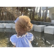 (DOG) 로이 상큼 체크 나시 커플룩 원피스 나시 여름 강아지 견주 시밀러룩, 반맞춤(톡톡이나게시판으로문의), 베이지, (DOG) 로이상큼체크나시