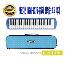 위즈펌 멜로디언 멜로디혼 NSM-E37B 블루색상 삼익악기