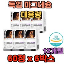 에너지 이용 신경근육 기능 독일 마그네슘 대용량 탁구 골프 당구 테니스 헬스 에어로빅 운동 축구 야구 농구 수영 태권도 복싱 성장기 어린이 청소년 어른 직장인