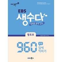 EBS 생수다 왕초보 960문장 입에 익히기, 지성공간