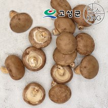 [공룡나라]고성 웅이표고농장 생표고버섯(생표고 하품1kg), 1개