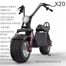할리 전기 자동차 2 륜 자전거 성인 이동성 큰 타이어 와이드 배터리 전동 스쿠터, 13. X20 160km 2000W 모터 듀얼 배터리, 60V