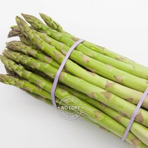 변비직빵 아스파라거스 아스파라거스효능 1kg 생아스파라거스 건강간식 아스파라 식이섬유 아스파라거스즙, 단품, 단품