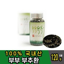 부부 부추 분말가루 환 건강환