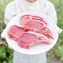 기미상궁 돈마호크 4.5kg(450g x 10팩) 미국산 목살 오겹살 캠핑고기 뼈삼겹 20-30인분, 돈마호크 450g 미국산 x 10팩