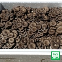 [산지직송]무농약느타리버섯2kg(무료배송), 1박스, 2kg