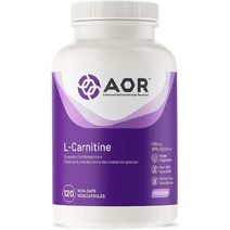 에이오알 아미노산 엘카르니틴 500mg 120vc, 500mg x 120 식물성 캡슐