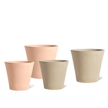 마이플랜트 디그리아 바소 에트나 이태리토분, 아레나