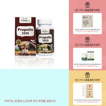 뉴질랜드 엔젯100 프로폴리스 3800 180정 +사은품, 180정x1병