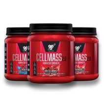 신타6 셀매스 헬스부스터 셀메스 크레아틴 운동보조제 495g, 수박