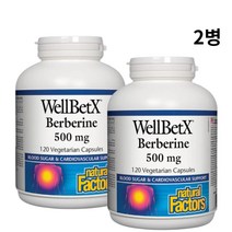 베르베린 당뇨 혈당 콜레스테롤 다이어트 항암에 좋은 500ml 120캡슐 2개, 120개