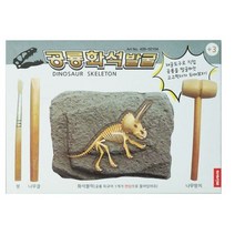 미소로 2500 공룡 화석 발굴키트 2104 156 x 32 x 110 mm, 7개