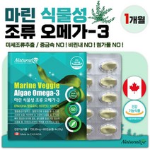 식약청 인정 캐나다 직수입 프리미엄 미세 조류 식물성 오메가3 60캡슐 1개월분 . 혈류 개선 골다공증 발생 위험 개선 항산패 눈 건조 항산화 기능성 영양제, 2통