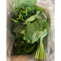 [자연산] 신선한 횡성 고랭지 산곰취 곰취나물 1kg 토종 햇 곰취 제철 봄나물 산나물 새벽수확 품질선별 야생곰취 강원도 노지 곰치, 1개