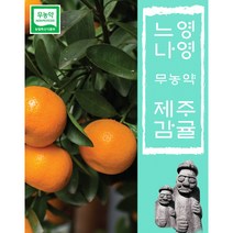 제주 친환경 무농약 노지감귤 3KG