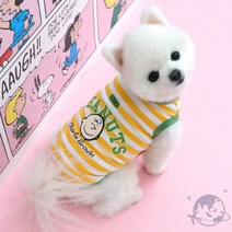 VEDANA 뉴스트라입티셔츠 옐로우 예쁜강아지옷, S