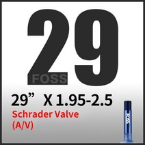 FOSS 자전거 튜브 안티 펑크 26/27.5/29 인치/700C/650B 자전거 내부 타이어 Schrader/AV Presta/FV Cycing 인테리어 타이어, 29 x 1.95-2.5 AV