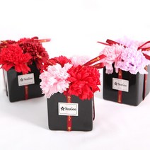 비누꽃 화분, 레드