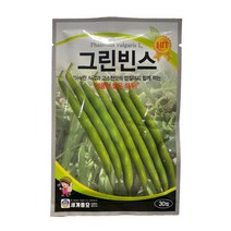 그린빈스 씨앗 30립 [23년포장] 껍질채 먹는 콩 종자