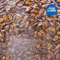 고단백 주전부리 간식 냉동번데기 1kg 번데기탕 반찬 소포장 번데기 2개구매시 200g증정, 1개
