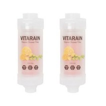 비타레인 비타민 샤워기 필터 프리지아향, 10개